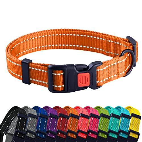 CollarDirect Reflektierendes Hundehalsband für kleinen, mittelgroßen, großen Hund, Welpen mit Schnellverschluss, Hündin, Rüde, 48 Sorten, Nylon Wasserfest CollarDirect Reflektierendes Hundehalsband für kleinen, mittelgroßen, großen Hund, Welpen mit Schnellverschluss, Hündin, Rüde, 48 Sorten, Nylon Wasserfest von CollarDirect