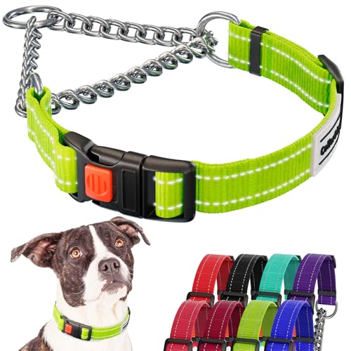 CollarDirect Reflektierendes Hundehalsband, Martingale-Halsbänder, seitliche Schnalle, Kette Training, verstellbare Haustier Halsbänder (Lindgrün, M, 35-42 cm) von CollarDirect