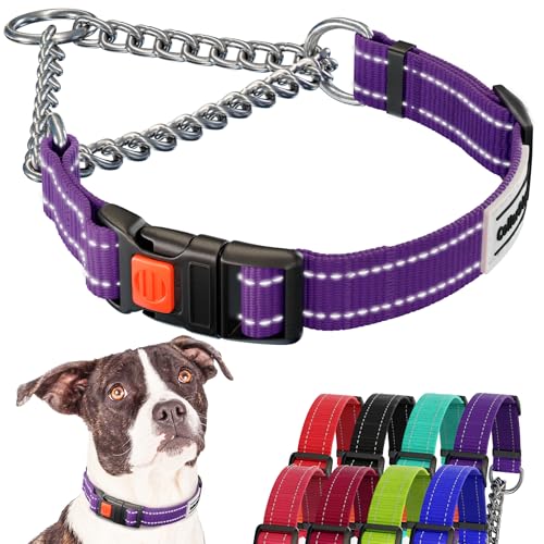 CollarDirect Reflective Dog Collar Martingale Collars Side Release Buckle Chain Training Adjustable Pet Collars (M, Neck Size 14"-17", Purple von CollarDirect