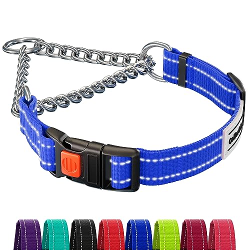 CollarDirect Reflective Dog Collar Martingale Collars Side Release Buckle Chain Training Adjustable Pet Collars (L, Neck Size 17"-22", Blue) von CollarDirect