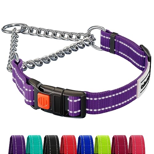 CollarDirect Reflective Dog Collar Martingale Collars Side Release Buckle Chain Training Adjustable Pet Collars (S, Neck Size 12"-15", Purple) von CollarDirect