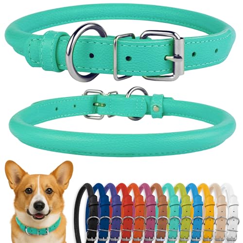CollarDirect Rundes Leder Hundehalsband, weich gepolstert gerollt, handgefertigtes Echtleder Halsband für Hund Welpe Katze Klein Groß Schwarz Rosa Rot Lila Blau CollarDirect Rundes Leder Hundehalsband, weich gepolstert gerollt, handgefertigtes Echtleder Halsband für Hund Welpe Katze Klein Groß Schwarz Rosa Rot Lila Blau von CollarDirect