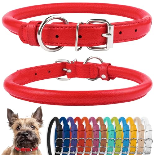 CollarDirect Rundes Leder Hundehalsband, weich gepolstert gerollt, handgefertigtes Echtleder Halsband für Hund Welpe Katze Klein Groß Schwarz Rosa Rot Lila Blau von CollarDirect