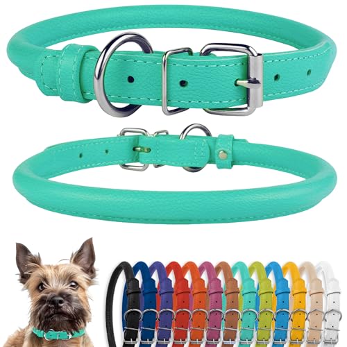 CollarDirect Hundehalsband aus gerolltem Leder, weich gepolstertes rundes Welpenhalsband, handgefertigtes echtes Lederhalsband für kleine und große Katzenhalsbänder, (7-8 Zoll, Mint Green Textured) von CollarDirect