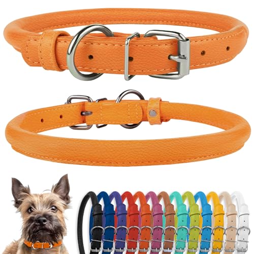 CollarDirect Hundehalsband aus gerolltem Leder, weich gepolstertes rundes Welpenhalsband, handgefertigtes echtes Lederhalsband für kleine und große Katzen, 13 Farben (7-8 Zoll, orange strukturiert) CollarDirect Hundehalsband aus gerolltem Leder, weich gepolstertes rundes Welpenhalsband, handgefertigtes echtes Lederhalsband für kleine und große Katzen, 13 Farben (7-8 Zoll, orange strukturiert) von CollarDirect