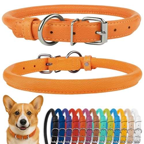 CollarDirect Rundes Leder Hundehalsband, weich gepolstert gerollt, handgefertigtes Echtleder Halsband für Hund Welpe Katze Klein Groß Schwarz Rosa Rot Lila Blau von CollarDirect