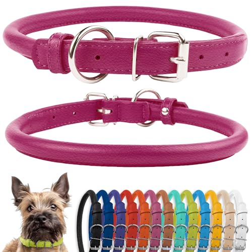 CollarDirect Rundes Leder Hundehalsband, weich gepolstert gerollt, handgefertigtes Echtleder Halsband für Hund Welpe Katze Klein Groß Schwarz Rosa Rot Lila Blau von CollarDirect