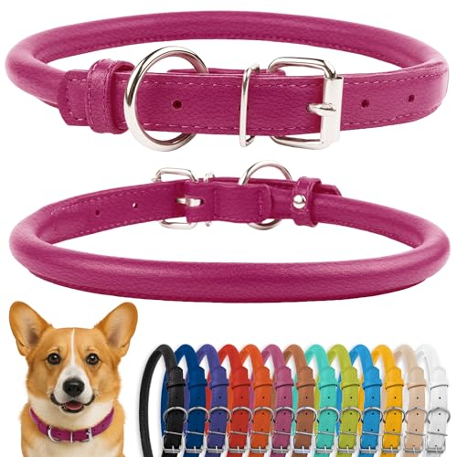CollarDirect Rundes Leder Hundehalsband, weich gepolstert gerollt, handgefertigtes Echtleder Halsband für Hund Welpe Katze Klein Groß Schwarz Rosa Rot Lila Blau CollarDirect Rundes Leder Hundehalsband, weich gepolstert gerollt, handgefertigtes Echtleder Halsband für Hund Welpe Katze Klein Groß Schwarz Rosa Rot Lila Blau von CollarDirect