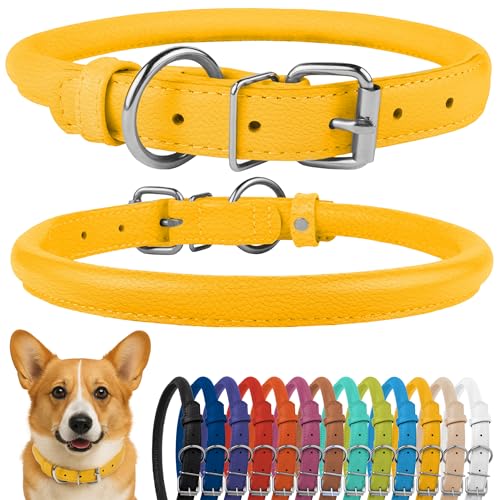 CollarDirect Rundes Leder Hundehalsband, weich gepolstert gerollt, handgefertigtes Echtleder Halsband für Hund Welpe Katze Klein Groß Schwarz Rosa Rot Lila Blau CollarDirect Rundes Leder Hundehalsband, weich gepolstert gerollt, handgefertigtes Echtleder Halsband für Hund Welpe Katze Klein Groß Schwarz Rosa Rot Lila Blau von CollarDirect