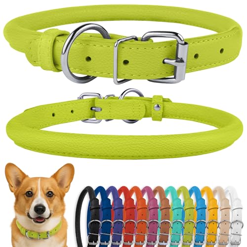 CollarDirect Rundes Leder Hundehalsband, weich gepolstert gerollt, handgefertigtes Echtleder Halsband für Hund Welpe Katze Klein Groß Schwarz Rosa Rot Lila Blau von CollarDirect