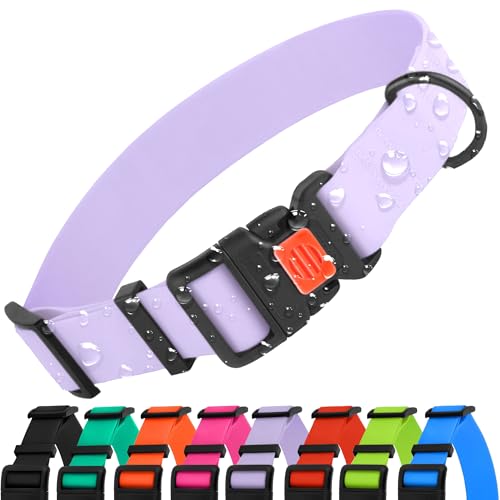 CollarDirect Verstellbares Hundehalsband, bunt, wasserfest, für kleine, mittelgroße und große Hunde, Welpen, 9 Farben (Lila, XL (45-66 cm)) von CollarDirect