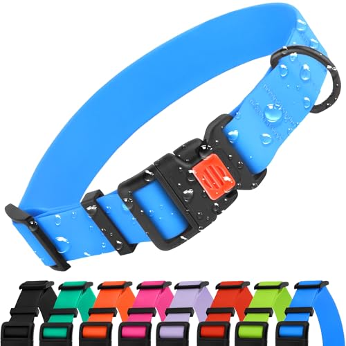 CollarDirect Verstellbares Hundehalsband Buntes Wasserdichtes Halsband für Kleine, Mittlere, Große Hunde, Welpen, Rosa Schwarz Blau Minzgrün Orange von CollarDirect