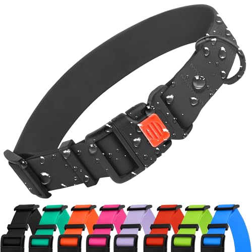 CollarDirect Verstellbares Hundehalsband, bunt, wasserfest, für kleine, mittelgroße und große Hunde, Welpen, 9 Farben (Schwarz, XL (45-66 cm)) CollarDirect Verstellbares Hundehalsband, bunt, wasserfest, für kleine, mittelgroße und große Hunde, Welpen, 9 Farben (Schwarz, XL (45-66 cm)) von CollarDirect