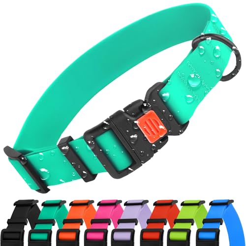 CollarDirect Verstellbares Hundehalsband Buntes Wasserdichtes Halsband für Kleine, Mittlere, Große Hunde, Welpen, Rosa Schwarz Blau Minzgrün Orange von CollarDirect