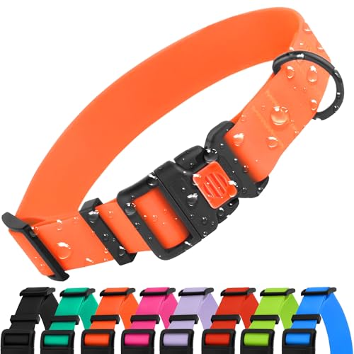 CollarDirect Verstellbares Hundehalsband, bunt, wasserfest, für kleine, mittelgroße und große Hunde, Welpen, 9 Farben (Orange, S (25-33 cm)) CollarDirect Verstellbares Hundehalsband, bunt, wasserfest, für kleine, mittelgroße und große Hunde, Welpen, 9 Farben (Orange, S (25-33 cm)) von CollarDirect