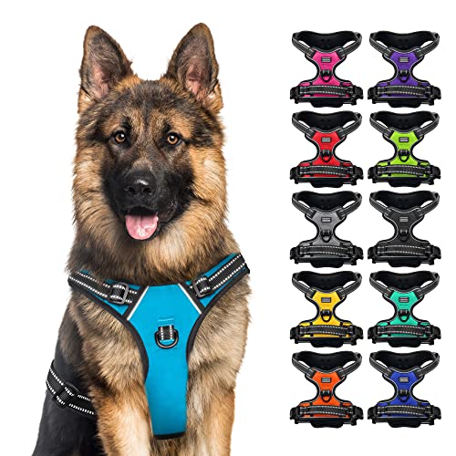 Körper-Hundegeschirr (Größe XL, Farbe Hellblau) von CollarDirect