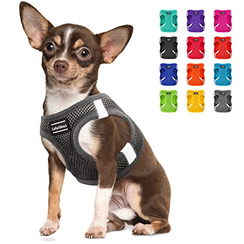 Step-in Hundegeschirr (Größe S, Farbe Grau) von CollarDirect