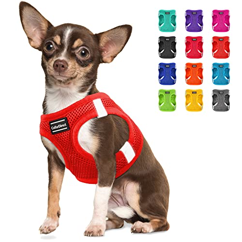 Step-in Hundegeschirr (Größe S, Farbe Orange) von CollarDirect
