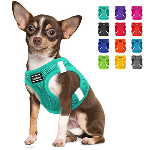Step-in Hundegeschirr (Größe XS, Farbe Hellgrün) von CollarDirect
