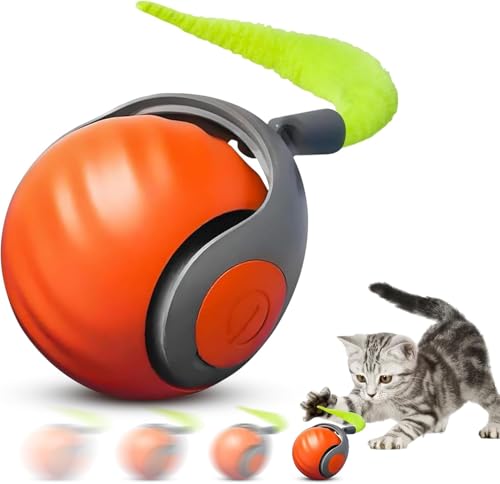 Beweglicher Ball Katzenspielzeug mit Federschwanz, wiederaufladbarer interaktiver Ball für Indoor-Katzenübung, intelligentes interaktives Kätzchen-Rollspielzeug Beweglicher Ball Katzenspielzeug mit Federschwanz, wiederaufladbarer interaktiver Ball für Indoor-Katzenübung, intelligentes interaktives Kätzchen-Rollspielzeug von Collenatsy