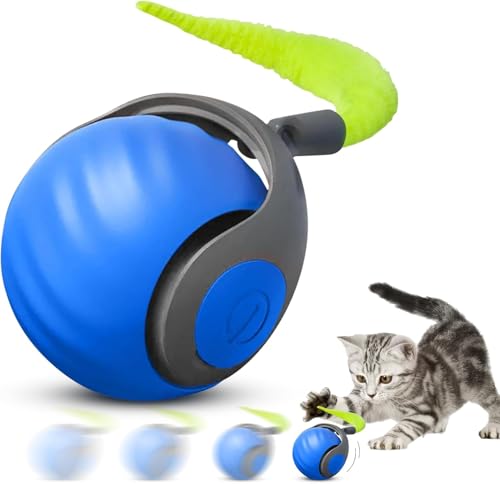 Beweglicher Ball Katzenspielzeug mit Federschwanz, wiederaufladbarer interaktiver Ball für Indoor-Katzenübung, intelligentes interaktives Kätzchen-Rollspielzeug Beweglicher Ball Katzenspielzeug mit Federschwanz, wiederaufladbarer interaktiver Ball für Indoor-Katzenübung, intelligentes interaktives Kätzchen-Rollspielzeug von Collenatsy