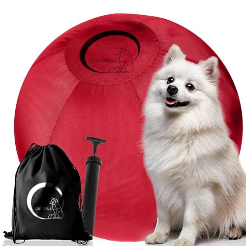 CollieBall - Herding Ball für Hunde, 45,7 cm, rot, aufblasbar, bruchsicher, Hundehüttenball für australische Schäferhunde, Corgis, Collies und Rinder, langlebiges Qualitäts-Geschenk für große Hunde CollieBall - Herding Ball für Hunde, 45,7 cm, rot, aufblasbar, bruchsicher, Hundehüttenball für australische Schäferhunde, Corgis, Collies und Rinder, langlebiges Qualitäts-Geschenk für große Hunde von CollieBall