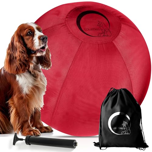 CollieBall Roter Herding Ball für australische Schäferhunde, Corgis, Collies und Rinder, aufblasbar, bruchsicher, langlebig, Geschenk für große Hunde, 55,9 cm CollieBall Roter Herding Ball für australische Schäferhunde, Corgis, Collies und Rinder, aufblasbar, bruchsicher, langlebig, Geschenk für große Hunde, 55,9 cm von CollieBall