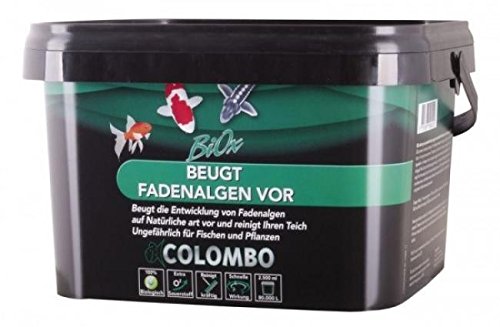 Colombo 60195/2632 BIOX 1000 ml (beugt Fadenalgen vor) von Superfish