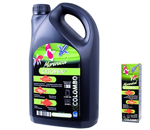 Colombo 60330/3077 Cytofex gegen bakterielle Infektionen Koi, Inhalt: 1000 ml von Colombo