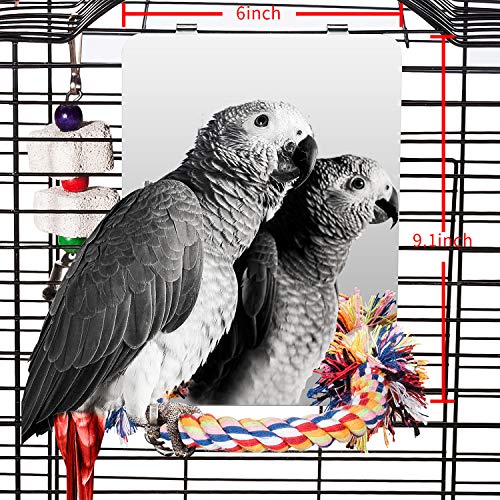 Colorday 23cm Edelstahl Vogel Spiegel mit Seil Perch, Vogelspielzeug (L) von Colorday