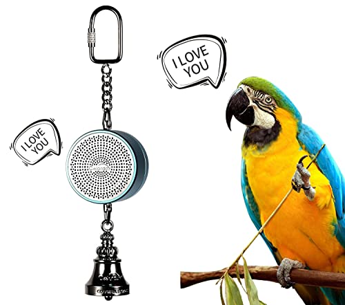 Colorday Bird Talking Coach & interaktive Stimmglocke Spielzeug (zum Patent angemeldet) (blau) von Colorday