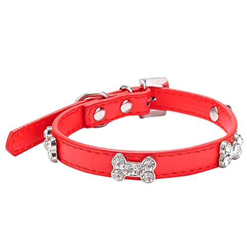 Pet Glänzende Strass Hundehalsband Knochenschmuck Hundehalsband kleine und mittlere Hundekette (D, M) von Colorful Outdoor