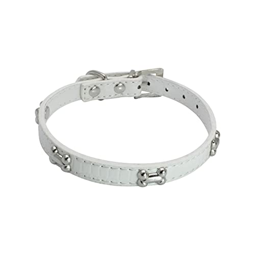 Pet Glänzende Strass Hundehalsband Knochenschmuck Hundehalsband kleine und mittlere Hundekette (H, L) von Colorful Outdoor