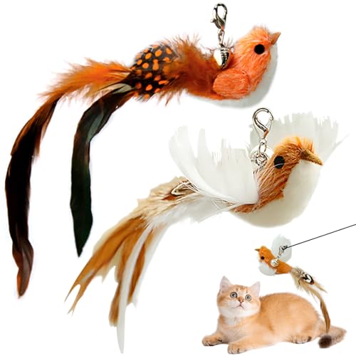 Colorich 2 Stück Katzenspielzeug Vogel Feder, Katzenangel Ersatzfedern, Interaktives Katzenspielzeug, Katzen Spielzeug, Vogelspielzeug für Katzen, Cat Toys for Indoor Cats Colorich 2 Stück Katzenspielzeug Vogel Feder, Katzenangel Ersatzfedern, Interaktives Katzenspielzeug, Katzen Spielzeug, Vogelspielzeug für Katzen, Cat Toys for Indoor Cats von Colorich ㅤ