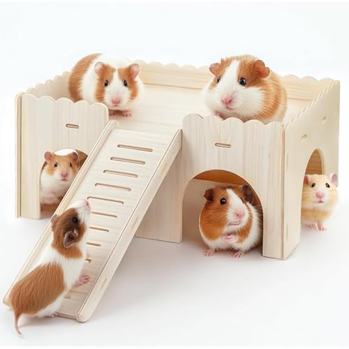 Großes Meerschweinchen Haus, Holz Aufbewahrungskorb mit Deckel und Rampe: Großes Meerschweinchen Versteck, Mehrkammer-Spielzeug für Degus, Hamster, Kleintiere, 38 x 25 x 18 cm von Colrid