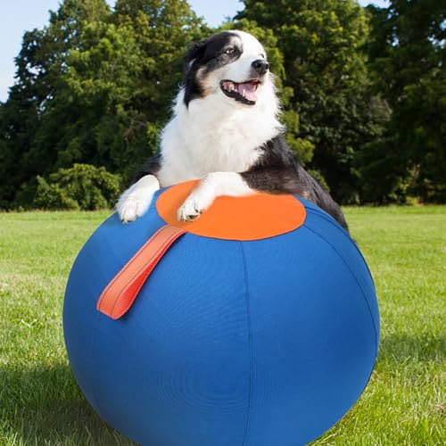 Comebachome Herding Ball für Hunde 18inch PVC Hundeball Reißverschlüsse mit Griffgurt & Polyesterabdeckung kratzfestes interaktiver Hund zum Training Comebachome Herding Ball für Hunde 18inch PVC Hundeball Reißverschlüsse mit Griffgurt & Polyesterabdeckung kratzfestes interaktiver Hund zum Training von Comebachome