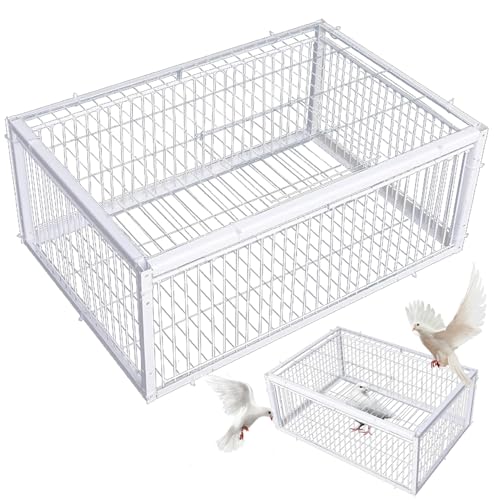 Taubenfalle mit Vier Einweg-Zugangs-Eingängen Vogelfalle 16x12 x 10 Zoll Taubenfalle Käfig mit Dachlichtpaarungskäfig für Farmen Scheunen Gärten Tauben, Taubenfalle, Taubenfalle von Comebachome