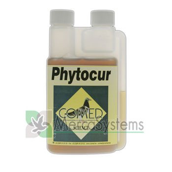 Iß phytocur 250 ml (erhöht die Abwehrkräfte senkt das Risiko von Krankheiten) von Comed