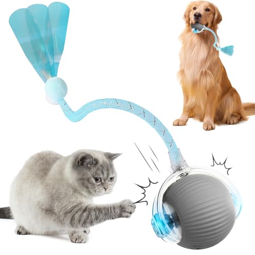 ComedyKing Interaktiv Katzenspielzeug Elektrisch, Rolling Ball, Intelligenter automatischer Rollball für Katzen Hunde (Grau) von ComedyKing