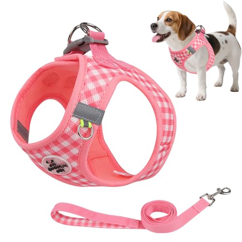 Hundegeschirr und Leine, atmungsaktives Netzgewebe, reflektierend, kein Ziehen, mit Sicherheitsschnalle, ausbruchsicher, kein Würgen, Katzengeschirr, 360° umlaufende Passform, geeignet für kleine Hundegeschirr und Leine, atmungsaktives Netzgewebe, reflektierend, kein Ziehen, mit Sicherheitsschnalle, ausbruchsicher, kein Würgen, Katzengeschirr, 360° umlaufende Passform, geeignet für kleine von Comforso