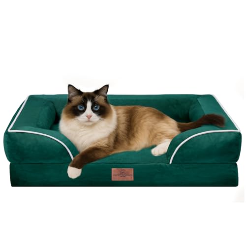 Comfort Expression, kleines Hundebett, wasserdicht, orthopädisches Schaumstoffsofa für kleine Hunde, bequemes Haustierbett mit waschbarem, abnehmbarem Bezug und rutschfestem Boden (XXS, smaragdgrün) von Comfort Expression