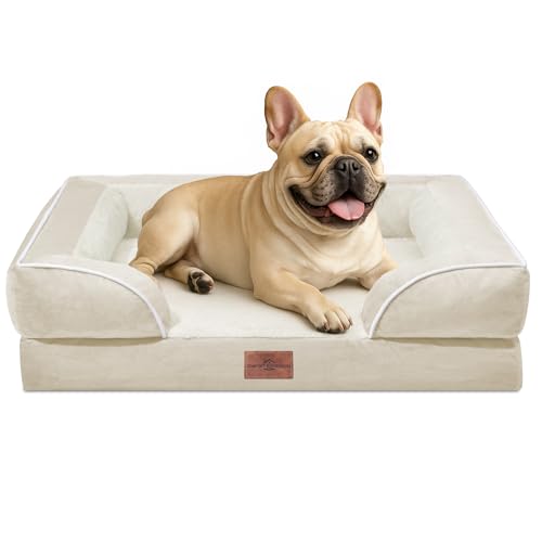 Comfort Expression, kleines Hundebett, wasserdicht, orthopädisches Schaumstoffsofa für mittelgroße Hunde, bequemes Haustierbett mit waschbarem, abnehmbarem Bezug und rutschfestem Boden (S, beige) von Comfort Expression