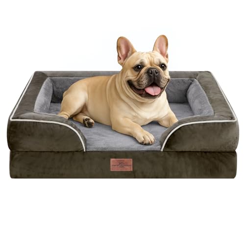 Comfort Expression, kleines orthopädisches Hundebett aus Schaumstoff, wasserdicht, bequemes Haustiersofa für mittelgroße Hunde mit waschbarem, abnehmbarem Bezug und rutschfestem Boden (S, dunkelgrün) von Comfort Expression