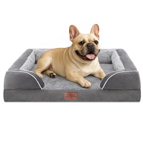 Comfort Expression, orthopädisches Hundebett aus Schaumstoff für mittelgroße Hunde, wasserdicht, bequemes Haustiersofa mit waschbarem, abnehmbarem Bezug und rutschfestem Boden (S, grau) von Comfort Expression