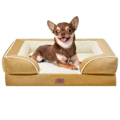 Comfort Expression, orthopädisches Sofa-Hundebett für kleine Hunde, wasserdicht, bequeme Schaumstoffpolsterung, abnehmbarer, waschbarer Bezug, rutschfeste Unterseite (XS, khaki) von Comfort Expression