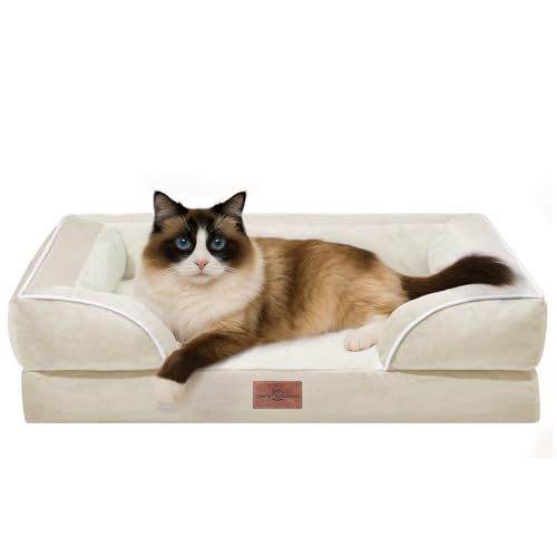 Comfort Expression, orthopädisches Sofa-Hundebett für kleine Hunde, wasserdicht, bequeme Schaumstoffpolsterung, abnehmbarer, waschbarer Bezug, rutschfeste Unterseite (XXS, beige) von Comfort Expression