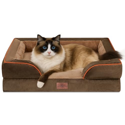 Comfort Expression, orthopädisches Sofa-Hundebett für kleine Hunde, wasserdicht mit bequemer Schaumstoffpolsterung – mit abnehmbarem, waschbarem Bezug und rutschfester Unterseite (Größe XXS, braun) von Comfort Expression