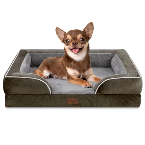 Comfort Expression, orthopädisches Sofa-Hundebett für kleine Hunde, wasserdicht mit bequemer Schaumstoffpolsterung – mit abnehmbarem, waschbarem Bezug und rutschfester Unterseite (XS, dunkelgrün) von Comfort Expression