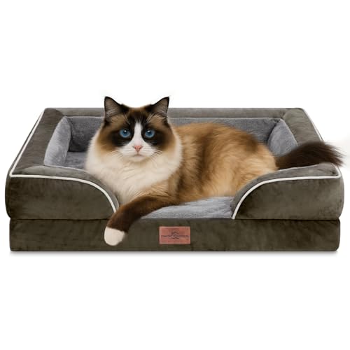 Comfort Expression, orthopädisches Sofa-Hundebett für kleine Hunde, wasserdicht mit bequemer Schaumstoffpolsterung – mit abnehmbarem, waschbarem Bezug und rutschfester Unterseite (XXS, dunkelgrün) von Comfort Expression