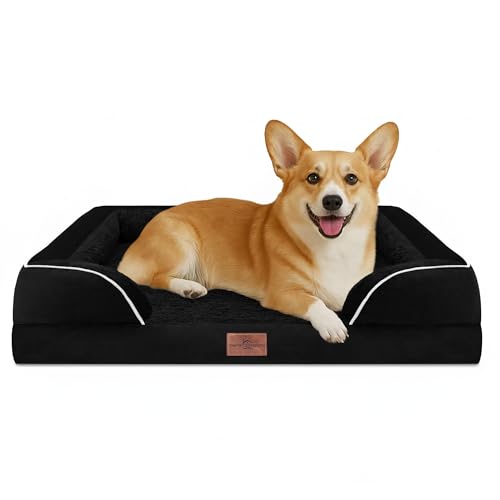 Comfort Expression Hundebett, wasserdicht, orthopädisch, Schaumstoff, für mittelgroße und große Hunde, bequemes Haustierbett mit waschbarem, abnehmbarem Bezug und rutschfester Unterseite (M, Schwarz) von Comfort Expression